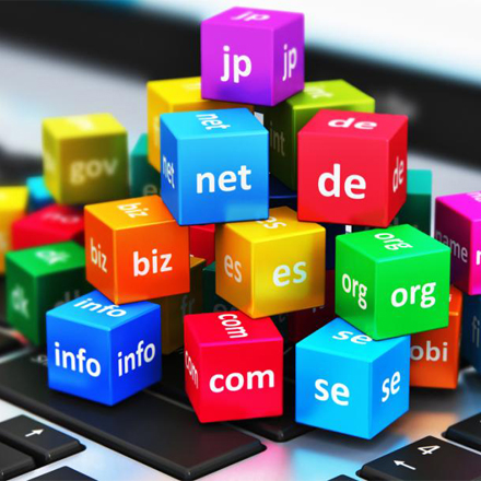 Domain Registration & Web Hosting