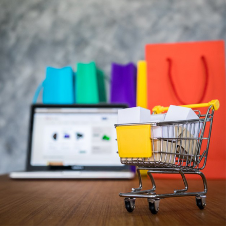 Ecommerce Web Solutions