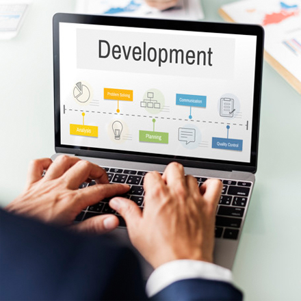 Web Design and Development
