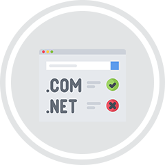 Domain & Web Hosting